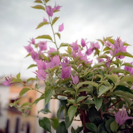 La Terrazza Dei Gemelli - Casa Vacanze Venosa Esterno foto